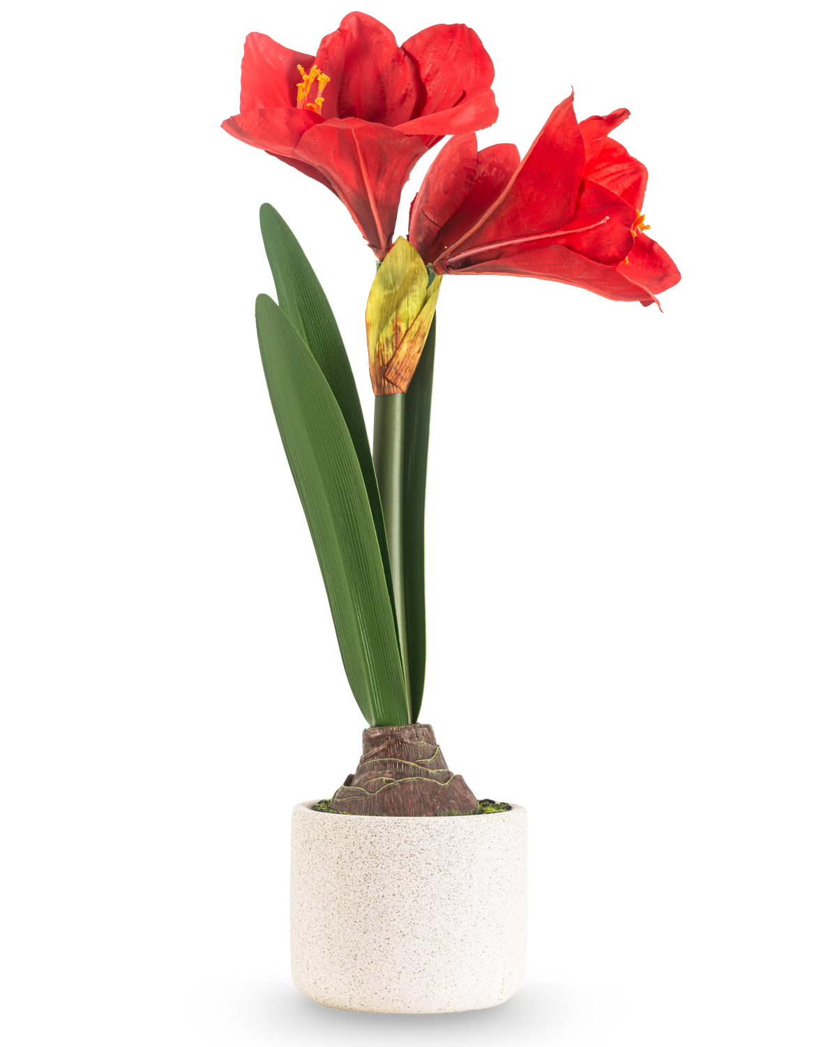 La Fleur Artificielle Amaryllis Real Touch rouge 48 cm présente deux grandes fleurs rouges et de longues feuilles vertes, présentées dans un pot simple à texture blanche sur un fond uni clair.