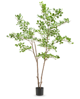 La plante artificielle Terminalia Catappa 180 cm présente de fines branches brunes avec des bouquets de petites feuilles vertes rondes dans un simple pot noir, sur un fond blanc.