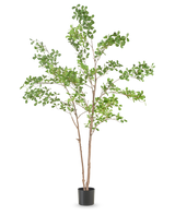 La Plante Artificielle Terminalia Catappa 150 cm est un grand arbre artificiel avec de fines branches brunes et des feuilles vertes dans un simple pot noir, sur un fond blanc uni.