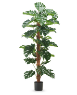 La plante artificielle Monstera 180 cm a de grandes feuilles vertes brillantes et une tige marron texturée dans un simple pot noir, sur un fond blanc uni.