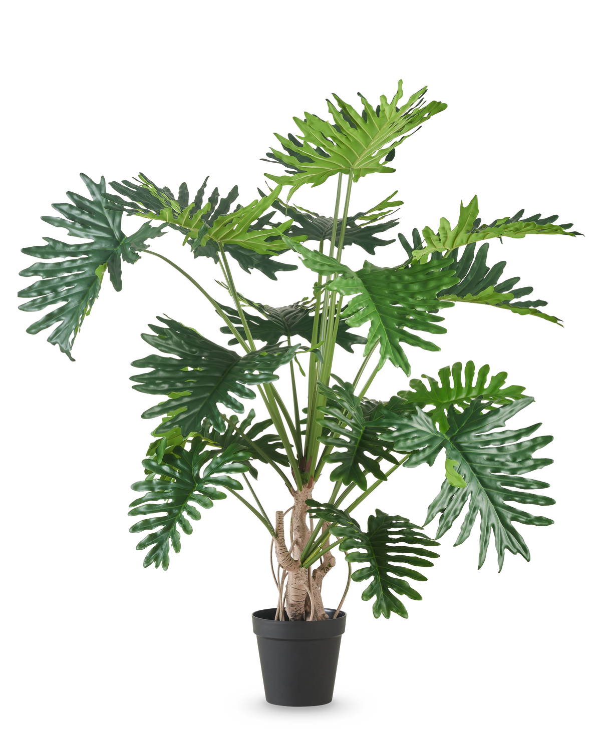 La plante artificielle Philodendron 180 cm possède de grandes feuilles vertes brillantes et profondément lobées et est représentée sur un fond blanc uni.