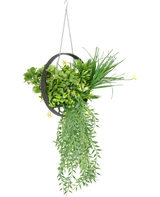 La fougère artificielle suspendue UV 30 cm en anneau noir est une jardinière ronde suspendue en métal avec des feuilles de fougère vertes artificielles luxuriantes, des feuilles traînantes et une chaîne argentée, sur un fond blanc.