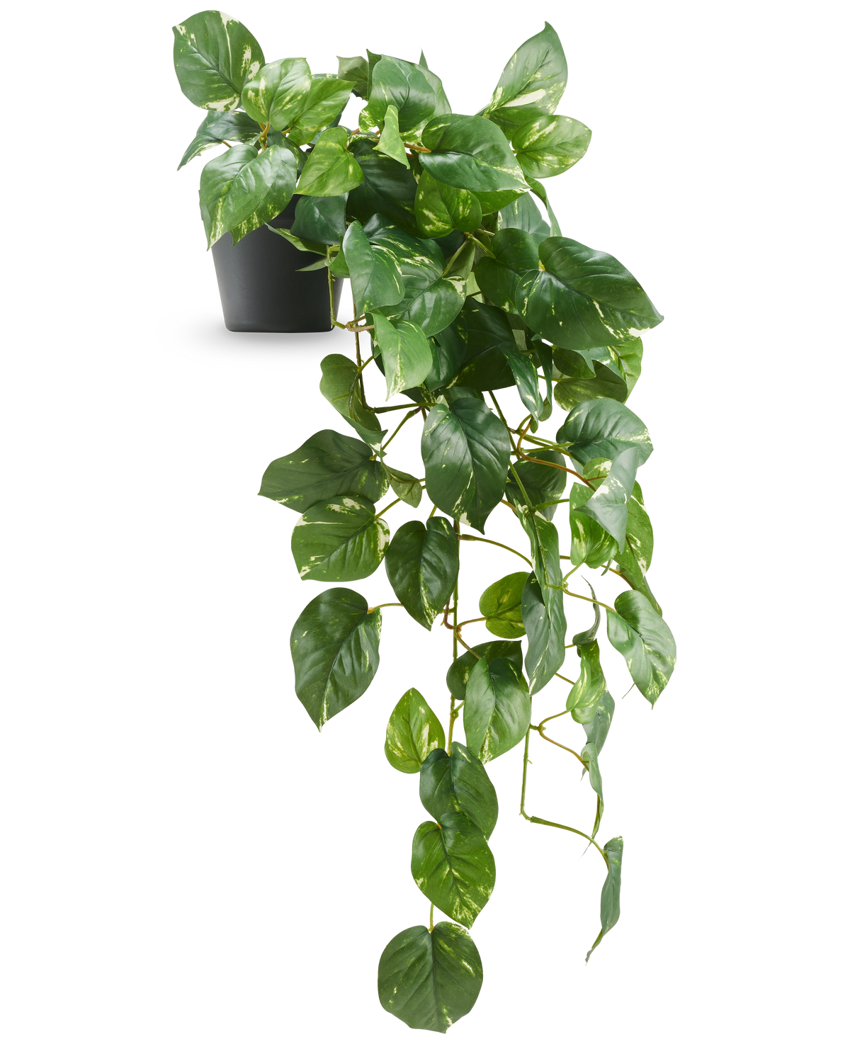 La Vigne dorée suspendue artificielle Deluxe en pot 80 cm UV présente des feuilles vertes brillantes en forme de cœur qui descendent élégamment d'un pot noir, sur un fond blanc.