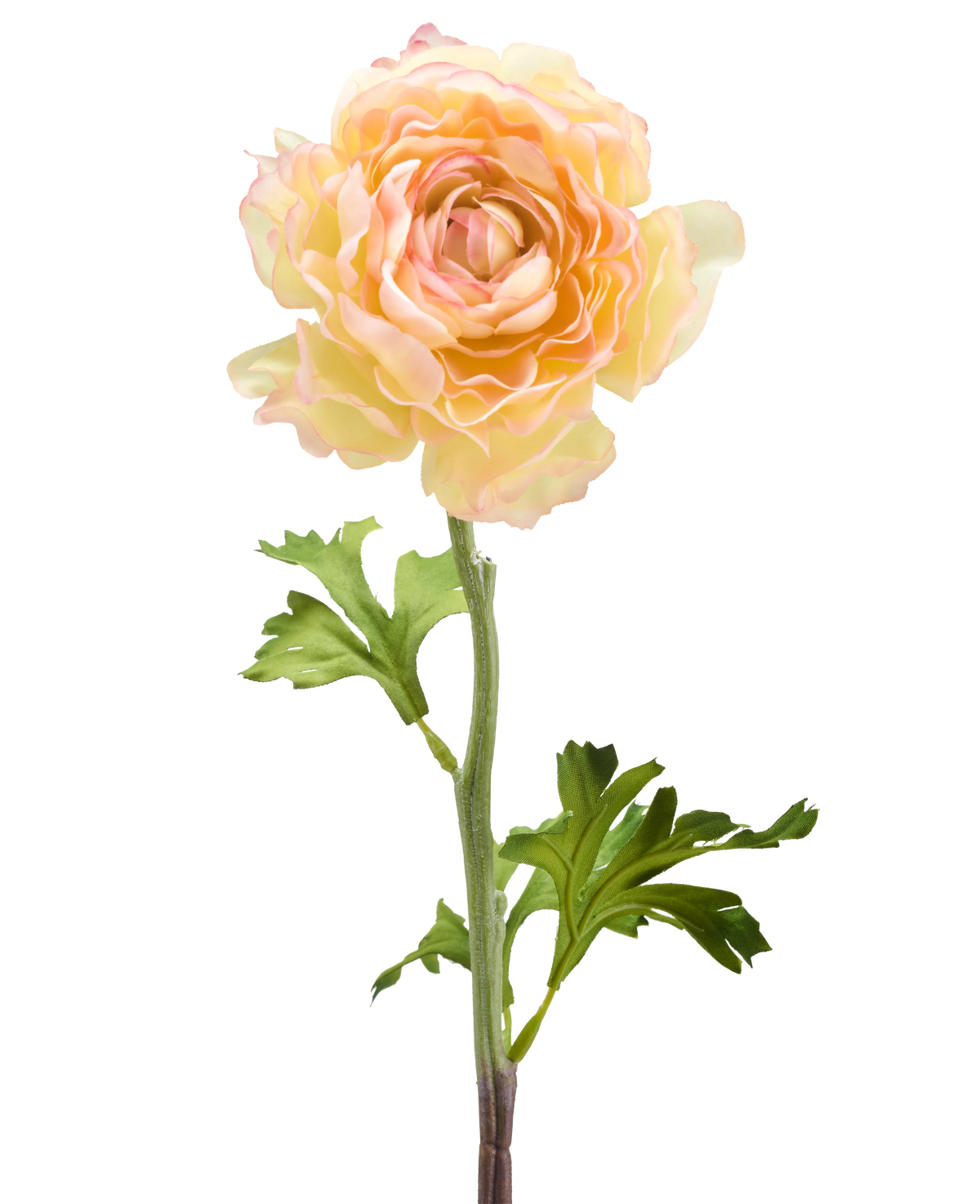 La Fleur Artificielle Renoncule 51 cm rose saumon a une seule fleur de renoncule artificielle dans des tons rose saumon doux avec des pétales superposés et des feuilles vertes sur une longue tige, sur un fond blanc.