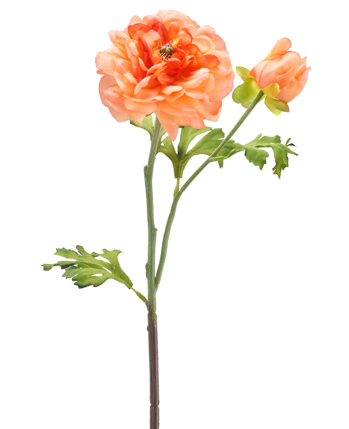 Une seule tige de la fleur artificielle Ranunculus 51 cm rose clair avec une grande fleur rose clair en pleine floraison, un bourgeon plus petit et des feuilles vertes sur fond blanc.