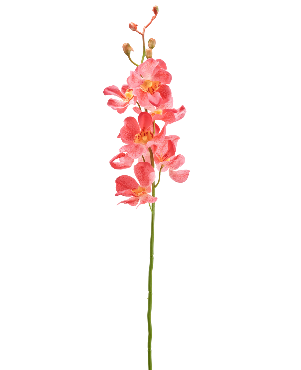 La fleur d'orchidée artificielle 55 cm rose a une seule tige avec des fleurs d'orchidée rose vif avec de multiples fleurs et bourgeons ouverts, sur un fond blanc uni.