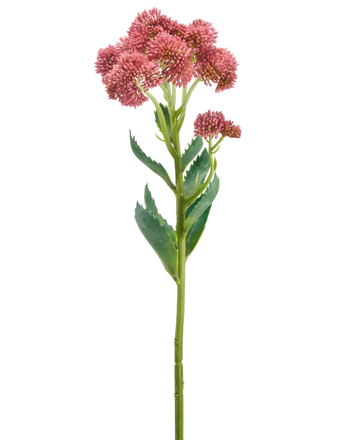 De Kunstbloem Dianthus 55 cm lila heeft een enkele groene stengel met gekartelde bladeren en trosjes kleine, lila bloemen aan de bovenkant, tegen een effen witte achtergrond.