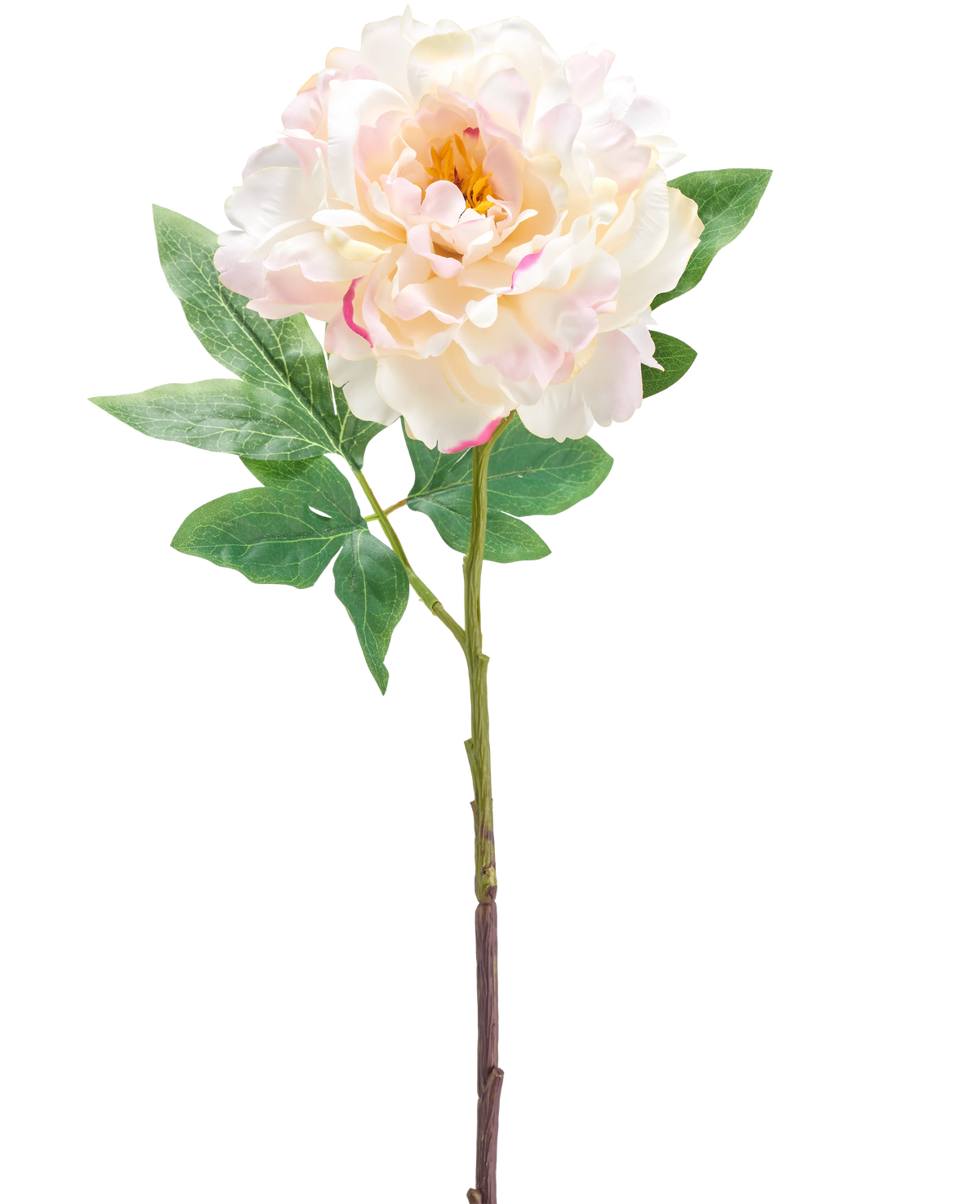 La fleur artificielle pivoine 61 cm crème est une fleur de pivoine artificielle rose clair et crème avec des feuilles vertes et une longue tige, représentée sur un fond blanc.
