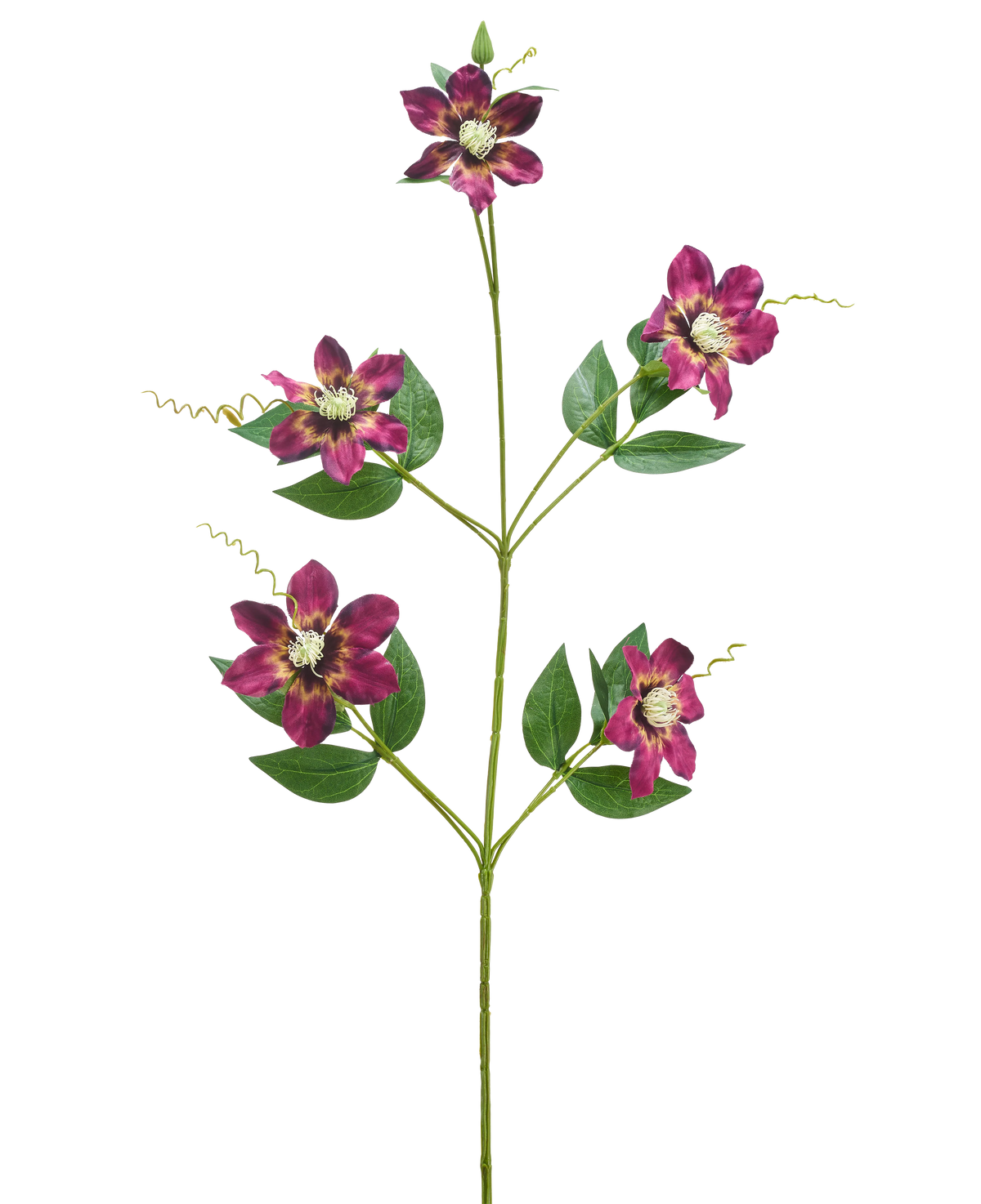 La Fleur Artificielle Celematis 78 cm violet a une seule tige verte avec cinq fleurs violettes épanouies, chacune avec des pétales pointus et un cœur jaune, entourées de feuilles vertes et de vrilles enroulées, isolées sur un fond blanc.