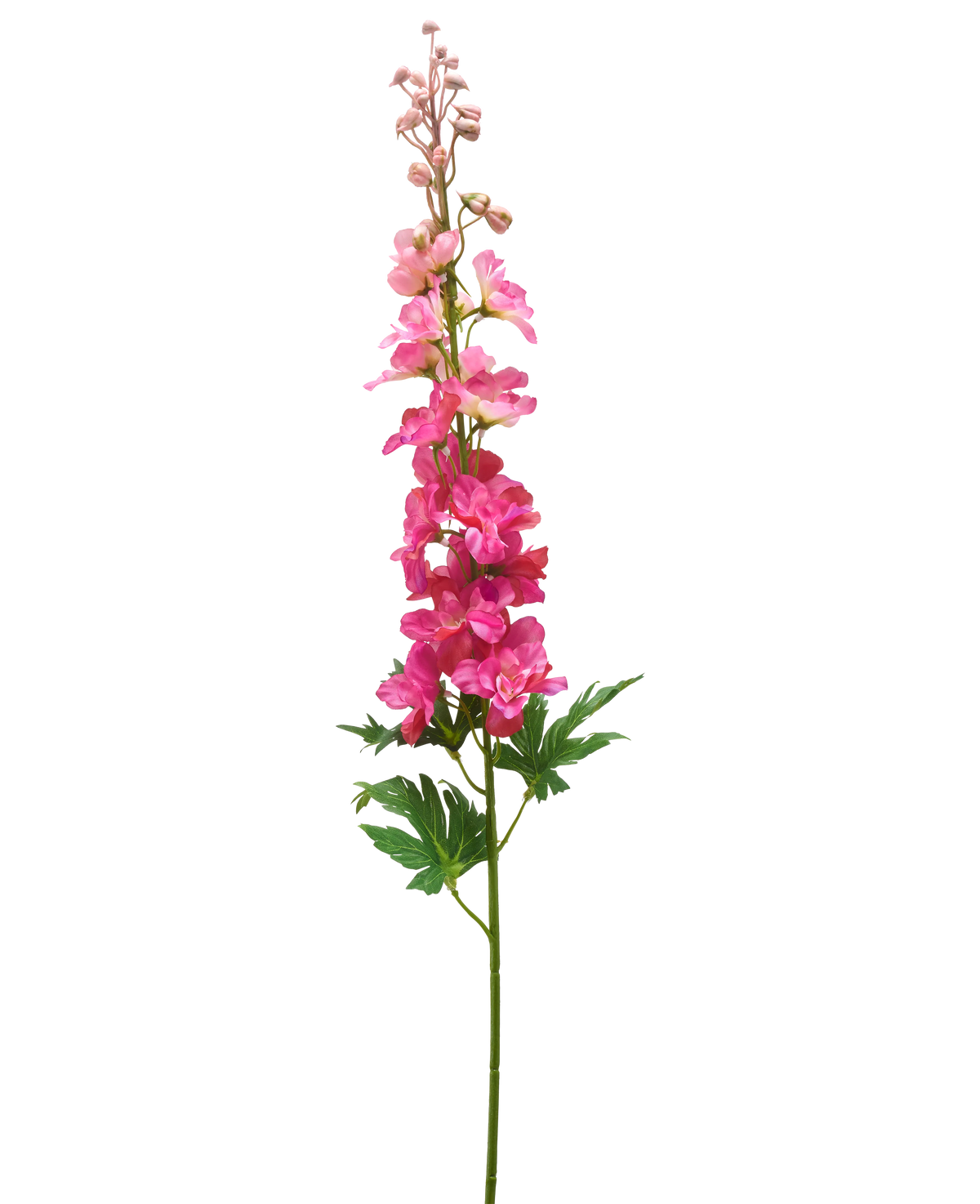 Une seule tige de fleur artificielle Delphinium de 79 cm fuchsia avec des fleurs superposées vibrantes, des feuilles vertes et des bourgeons non ouverts, sur un fond blanc.