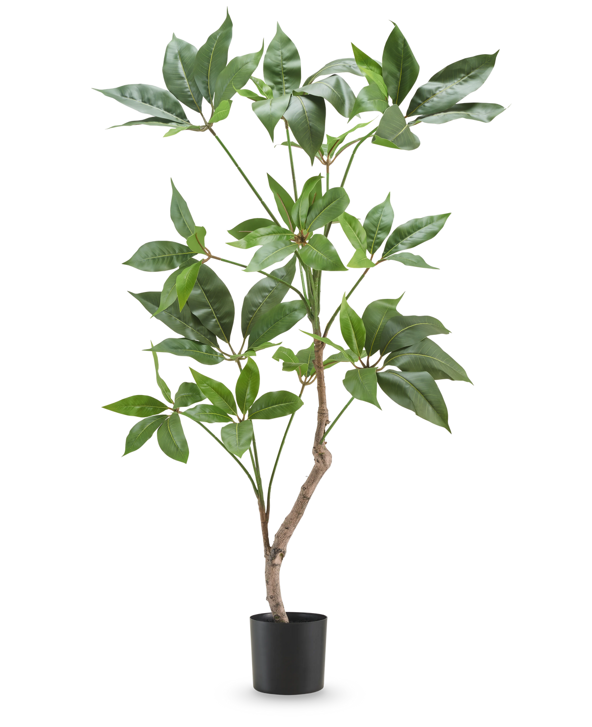 La Plante Artificielle Schefflera 90 cm est une grande plante artificielle avec de larges feuilles vertes et une fine tige brune, présentée dans un simple pot noir sur un fond blanc uni.
