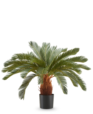 La Plante Artificielle Cycas UV 90 cm possède de longues feuilles vertes courbées et une tige brune épaisse dans un pot noir, sur un fond blanc uni.