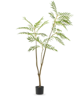La plante artificielle Mahonia 180 cm est une grande plante artificielle avec des tiges fines et de longues feuilles vertes étroites dans un simple pot noir, représentée sur un fond blanc uni.
