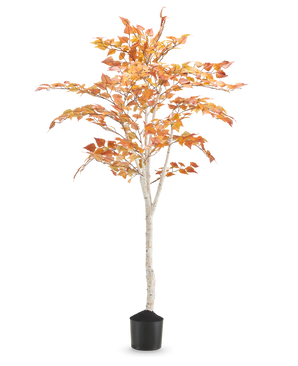 Le Bouleau Artificiel "Automne" 150 cm est un grand bouleau artificiel au tronc blanc élancé et aux feuilles d'automne jaune orangé, dans un petit pot noir sur un fond blanc uni.