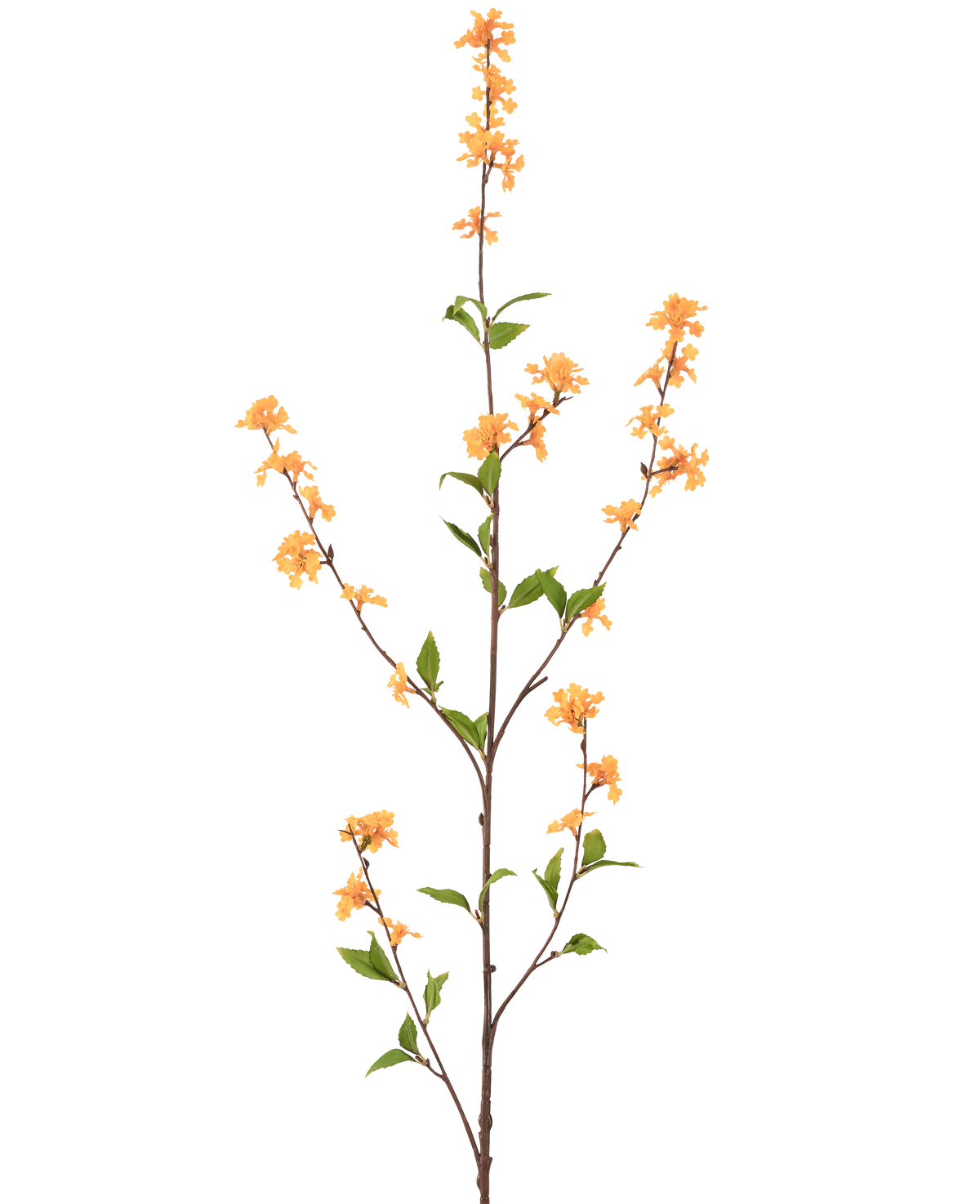 Une fleur artificielle haute et mince de 119 cm jaune avec plusieurs ramifications avec des bouquets de petites fleurs jaunes et des feuilles vertes, isolées sur un fond blanc.