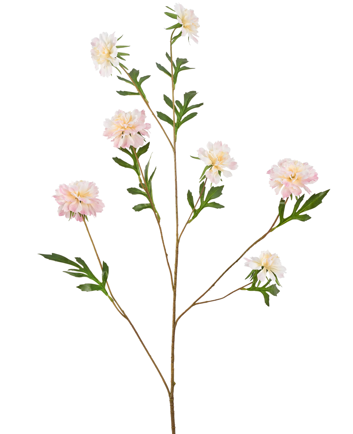La Fleur Artificielle Bleuet 112 cm rose clair a une tige longue et fine avec plusieurs branches, chacune avec des fleurs rose clair ressemblant à des pivoines et des feuilles vertes, sur un fond blanc uni.