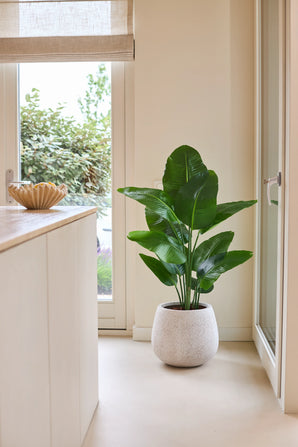 Une plante artificielle Strelitzia Real Touch Deluxe de 120 cm d'un vert luxuriant se dresse sur un sol clair à côté d'une porte vitrée dans une pièce lumineuse et moderne avec des murs neutres et un comptoir en bois.