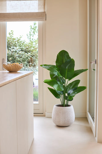 Une plante artificielle Strelitzia Real Touch Deluxe de 120 cm d'un vert luxuriant se dresse sur un sol clair à côté d'une porte vitrée dans une pièce lumineuse et moderne avec des murs neutres et un comptoir en bois.
