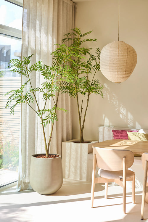 Une salle à manger lumineuse et moderne avec une plante verte en pot de la plante artificielle Mahonia (180 cm), une table et des chaises en bois clair, des rideaux beiges, une suspension en forme de lanterne en papier et la lumière naturelle du soleil entrant à travers les hautes fenêtres.