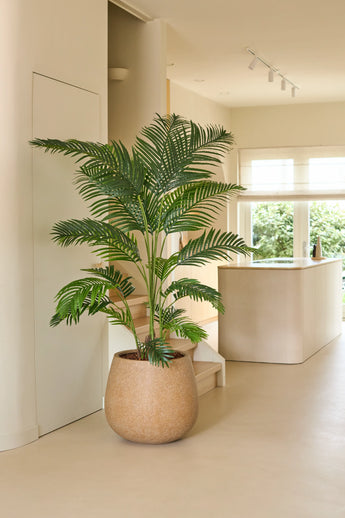 Une plante artificielle Chamaedorea de 180 cm se dresse dans une cuisine moderne et lumineuse avec des tons neutres, une décoration minimaliste et une lumière naturelle entrant par les fenêtres.