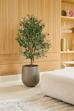 Un Olivier Artificiel 120 cm UV se dresse sur un sol clair à côté d'un canapé beige dans une pièce moderne aux boiseries et étagères minimalistes sur lesquelles sont exposés vases et vaisselle. Il s'agit d'un olivier sans entretien qui s'intègre parfaitement dans un intérieur élégant et nécessitant peu d'entretien.