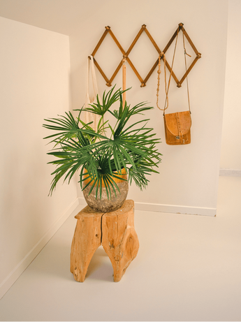 Faux palmier extérieur Baby Palm Fan en pot 50 cm