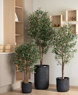 Trois arbres d'intérieur en pots, dont un olivier artificiel UV 180 cm aux feuilles vertes dans des pots texturés noirs, se trouvent dans une pièce moderne et minimaliste avec des étagères en bois clair et des murs de couleurs neutres.