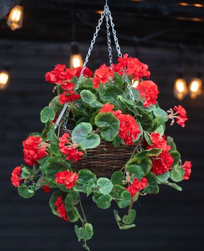 Le bégonia artificiel rouge dans un panier UV de 70 cm présente des bégonias artificiels rouges vifs et des feuilles vertes luxuriantes dans un panier suspendu avec des chaînes, parfait pour ajouter de la couleur à votre espace. Des lumières rasantes chaudes éclairent doucement l’arrière-plan flou.