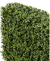 Un gros plan de panneaux de haie de buis artificiel UV 100x20x50 cm, avec de petites feuilles vertes densément emballées sur un fond blanc.