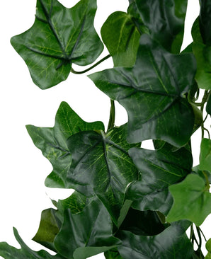 Gros plan de Lierre Artificiel 180 cm vert : plusieurs feuilles de lierre vert artificiel avec nervures visibles et texture réaliste, sur fond blanc.