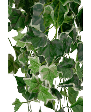 Gros plan d'un lierre artificiel de 70 cm vert/blanc avec des feuilles vertes et des bords bordés de blanc, mettant l'accent sur un feuillage artificiel dense et des motifs de feuilles d'aspect naturel sur un fond clair.