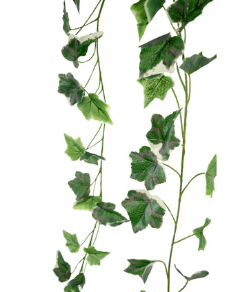 La guirlande de lierre artificiel 180 cm vert/blanc comporte deux brins de feuilles de lierre vertes et blanches réalistes de différentes tailles avec des veines réalistes, suspendues verticalement sur un fond blanc.