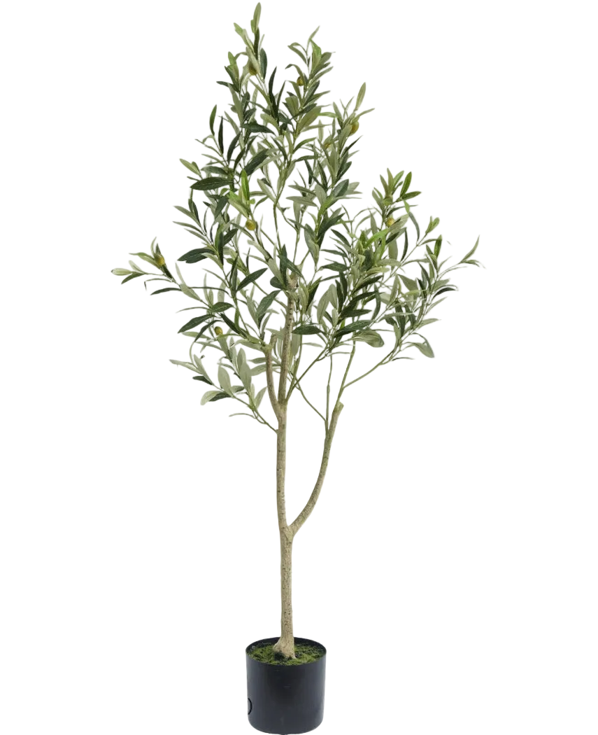 L'Olivier Artificiel 120 cm présente des branches élancées et des feuilles vertes dans un simple pot noir, idéal comme élément de décoration pour une ambiance méditerranéenne sur fond blanc.