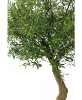 Gros plan de l'Olivier Artificiel 270 cm sans olives, avec un tronc brun élancé et des feuilles vertes denses dans des pots décoratifs sur un fond blanc uni.