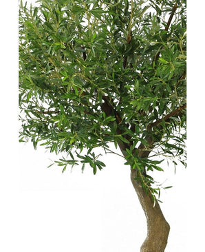 Gros plan de l'Olivier Artificiel 270 cm sans olives, avec un tronc brun élancé et des feuilles vertes denses dans des pots décoratifs sur un fond blanc uni.