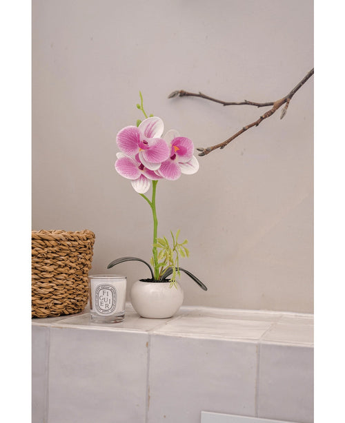 L'Orchidée Artificielle 28 cm blanc/rose en pot se pose sur un sol carrelé à côté d'un panier tressé et d'une bougie parfumée Diptyque blanche, contre un mur lumineux surmonté d'une branche nue.