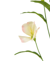 Le rhododendron artificiel azalée Real Touch crème/rose 80 cm a de délicats pétales crème et rose tendre avec des feuilles vertes sur une longue tige, magnifiques sur un fond blanc.