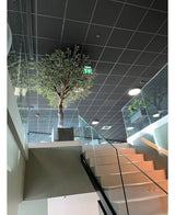 Un escalier intérieur moderne avec balustrade en verre mène à un palier comportant l'olivier artificiel avec des olives (270 cm) dans un grand pot, placé sous un plafond à motif grillagé, un éclairage encastré et un panneau de sortie de secours vert visible.