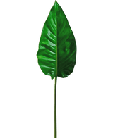 Une seule feuille artificielle d'Alocasia de 76 cm, vert vif avec des nervures proéminentes et une surface lisse, attachée à une tige longue et fine, sur un fond blanc uni.