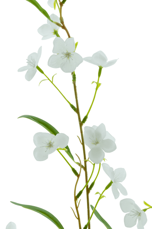 Un gros plan de la fleur artificielle Alstroemeria Real Touch White 100 cm montre la délicate tige verte, les feuilles fines et les petites fleurs blanches sur un fond blanc uni.