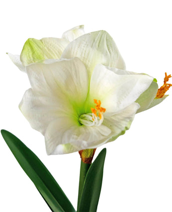 La Fleur Artificielle Amaryllis Real Touch blanche 48 cm présente deux fleurs d'amaryllis blanches au cœur vert clair, des étamines orange et des feuilles vertes sur un fond blanc.