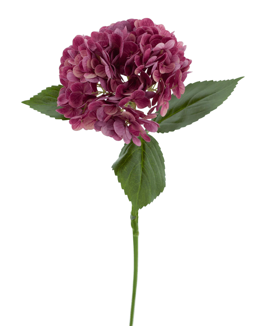 La Fleur Artificielle Hortensia Charlotte Real Touch violet 55 cm possède une seule tige d'hortensia violet avec plusieurs petits pétales et feuilles vertes, sur un fond uni blanc.