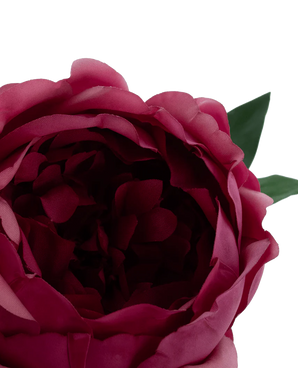 Gros plan de la fleur artificielle pivoine Lotus Real Touch rouge 58 cm, une pivoine artificielle rose foncé avec des pétales superposés et deux feuilles vertes, sur un fond blanc uni.
