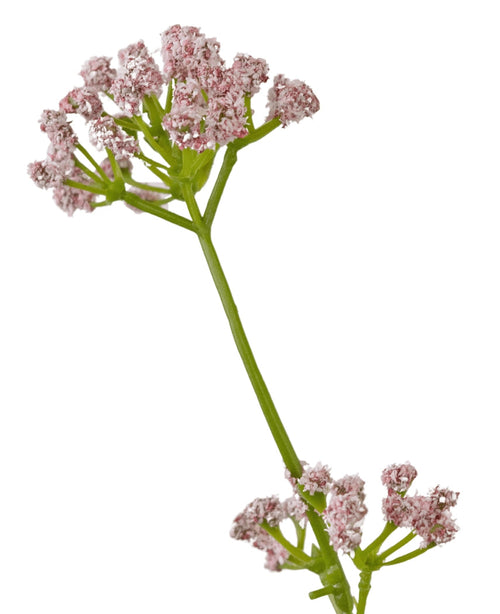 Le gazon artificiel poireau fleur oignon herbe pot 120 cm ignifuge a une seule tige verte avec des bouquets de petites fleurs roses délicates sur un fond blanc.