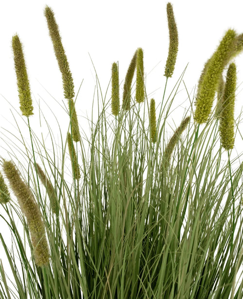 Le pot d'herbe à oignon et cattail de gazon artificiel de 150 cm ignifuge présente un gazon artificiel vert haut avec des feuilles longues et étroites et des têtes de graines cylindriques moelleuses, représentées sur un fond blanc.