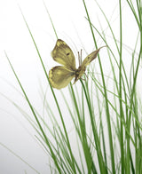 Le pot de gazon artificiel papillon oignon 90 cm ignifuge présente un papillon jaune avec des marques brunes sur de minces brins de gazon artificiel vert, sur un fond blanc.