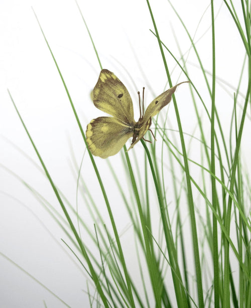 Le pot de gazon artificiel papillon oignon 90 cm ignifuge présente un papillon jaune avec des marques brunes sur de minces brins de gazon artificiel vert, sur un fond blanc.