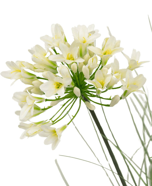 Un gros plan du pot de gazon artificiel d'agapanthe blanche et d'oignon de 90 cm ignifuge montre de délicates fleurs blanches avec un centre jaune sur de longues tiges vertes, entourées de feuilles vaporeuses, sur un fond blanc uni.