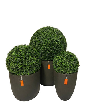 La Plante Artificielle Buis de style romain UV D40cm présente trois plantes topiaires artificielles rondes au feuillage vert dense dans des pots cylindriques noir mat, chacun décoré d'une petite étiquette orange. Montré sur un fond blanc.