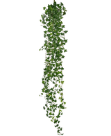 La plante suspendue artificielle Lierre deluxe 180 cm vert possède un long brin de lierre vert avec de nombreuses petites feuilles pointues qui tombent, parfaites comme décoration sur un fond blanc.